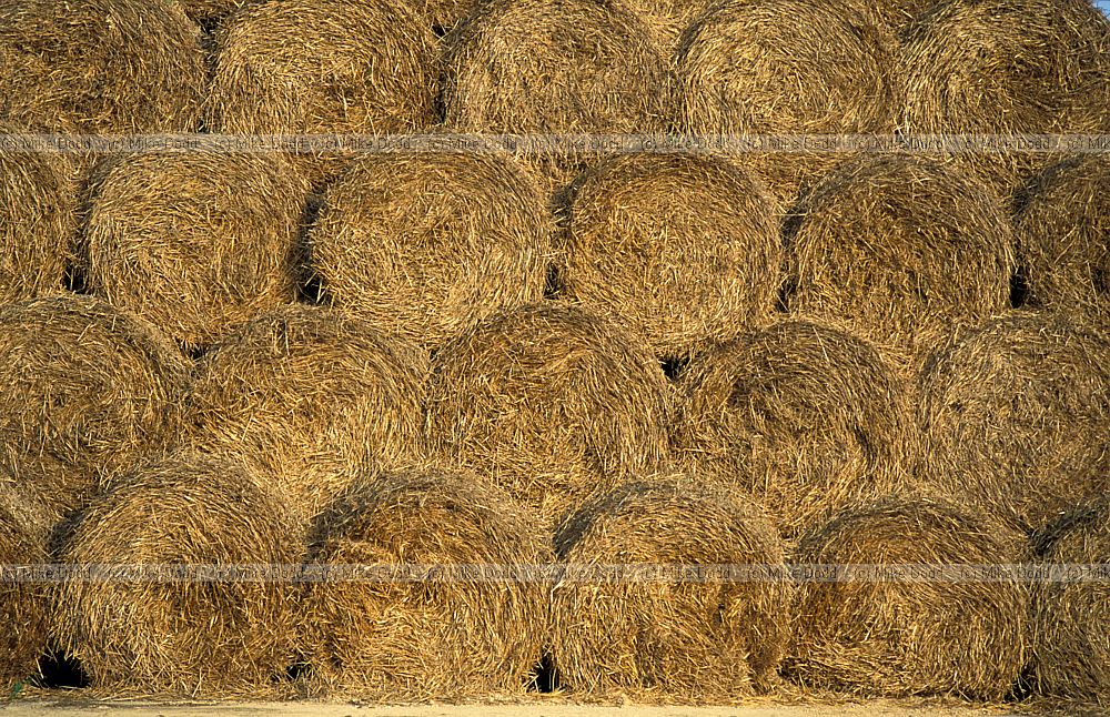 Straw bales stacked up round bales