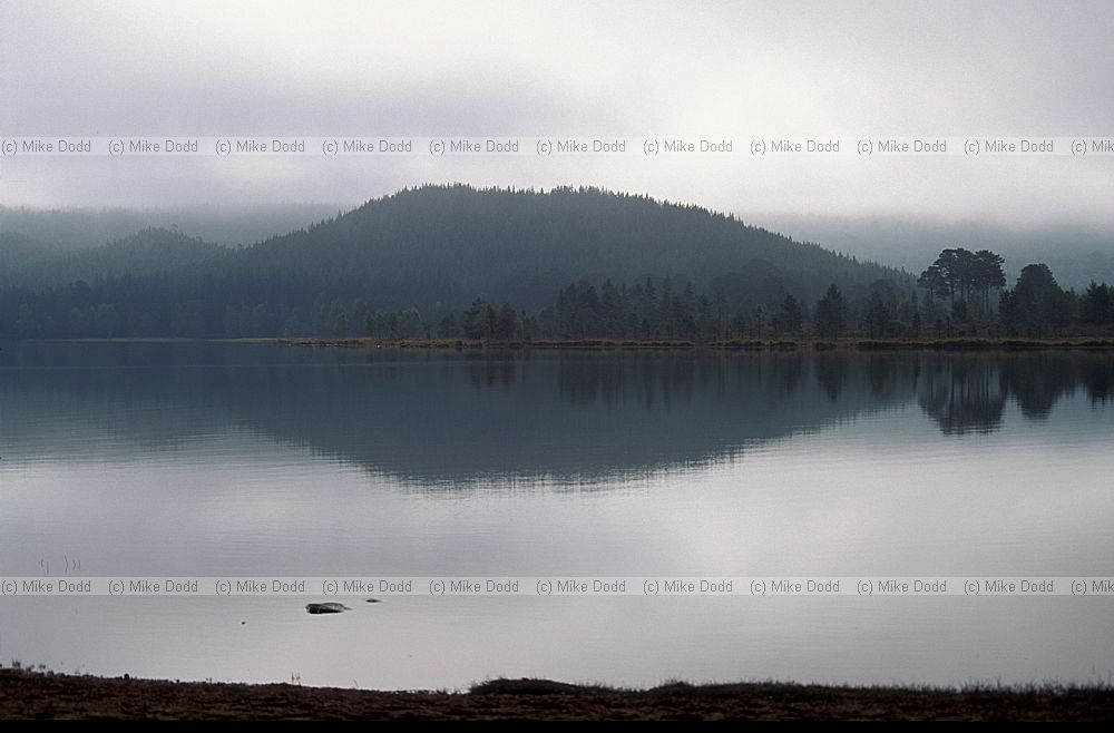 Loch morlich steely grey with mist