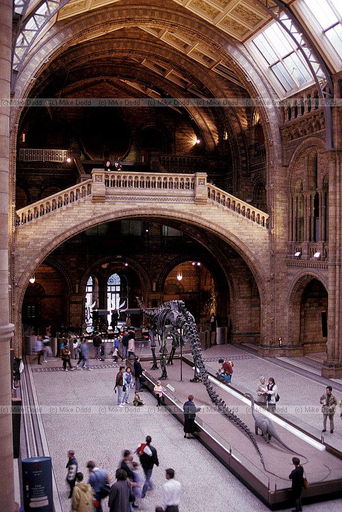 Natural history museum interior