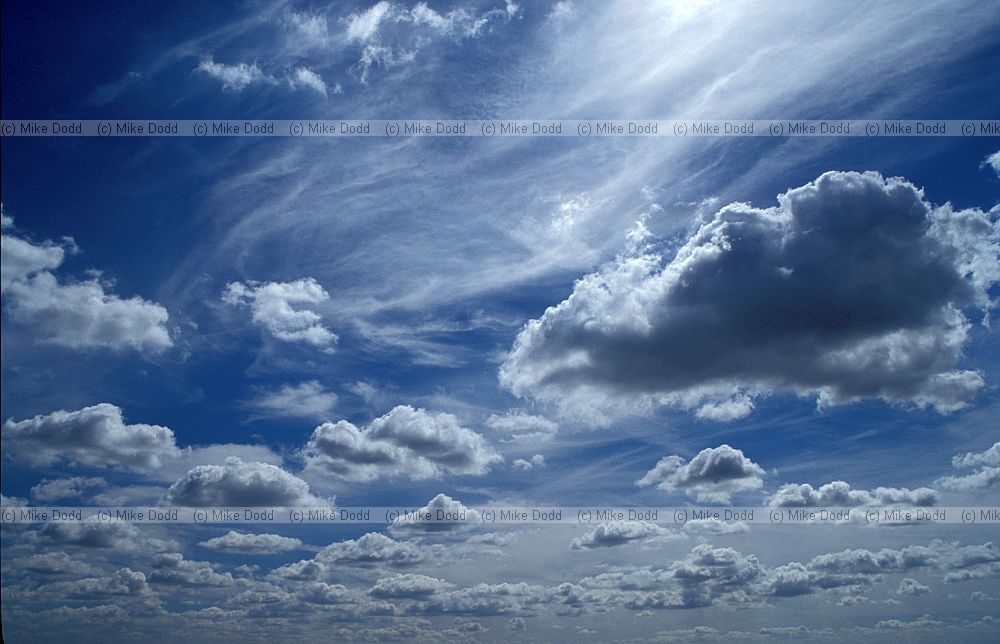 fair weather cumulus clouds
