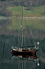 Yacht Loch Linnhe Scotland