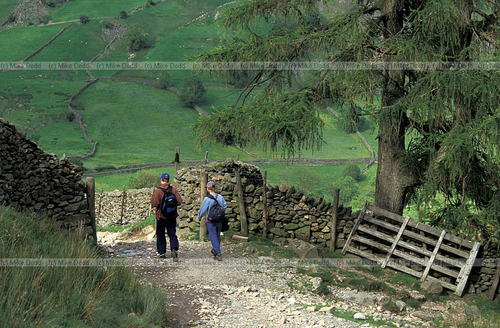Walkers Longsdale Lake district