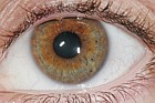 Human eye close-up showing eyelashes white of the eye iris and pupil