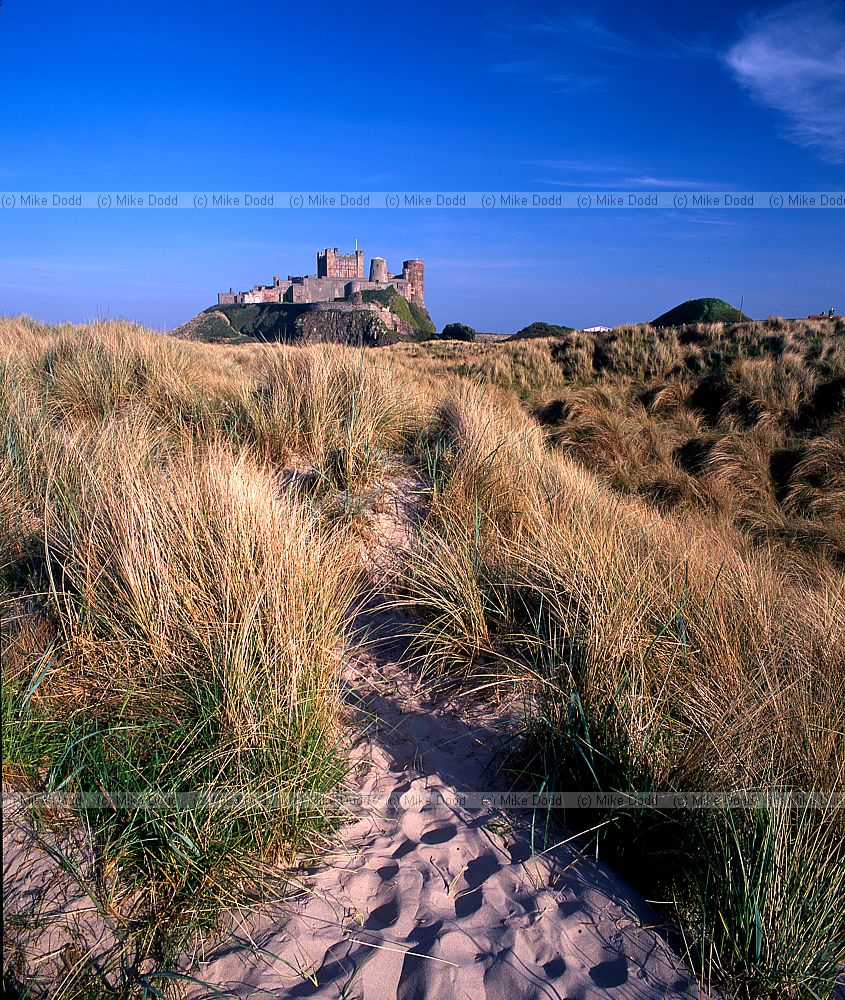 Bamburgh castle with sand dunes