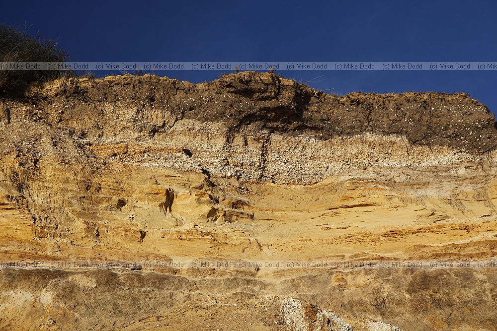 Crumbling cliffs Barton on sea
