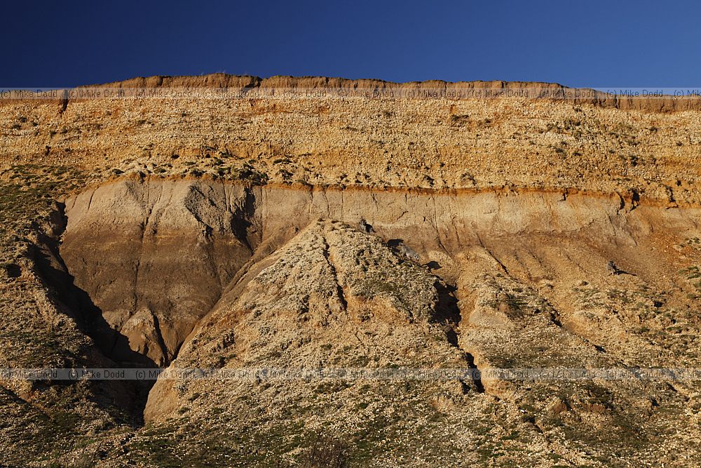 Crumbling cliffs Barton on sea