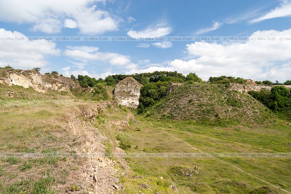Bishop Middleham magnesian limestone quarry which contains characteristic grassland species