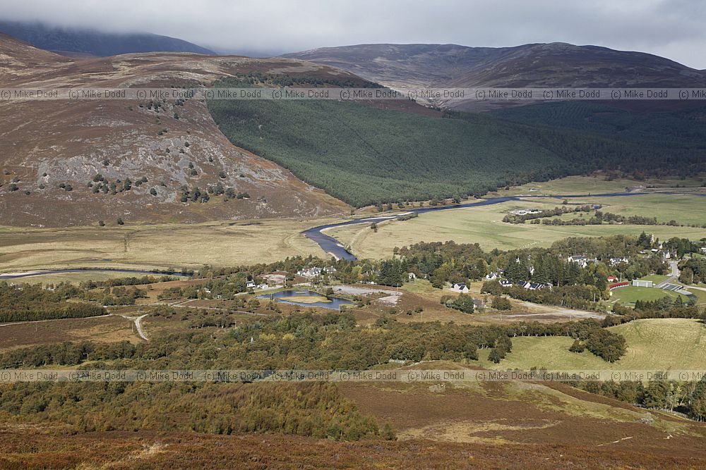 Morrone birkwood and Breamar area strong contrast between plantation and bare hillside