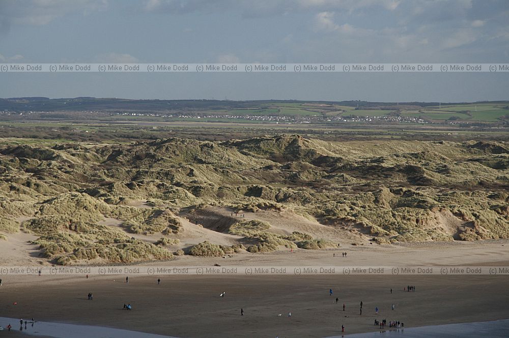 Braunton burrows sand dunes