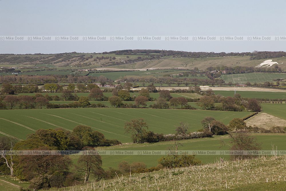 Chiltern landscape