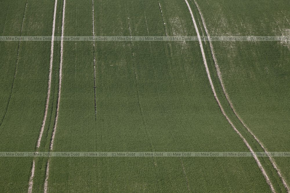 Chiltern landscape with tramlines in field on chalky soil