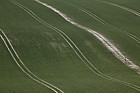 Chiltern landscape with tramlines in field on chalky soil