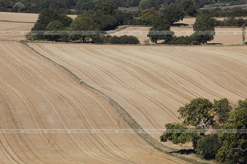 Chiltern landscape after harvest with golden stubble fields