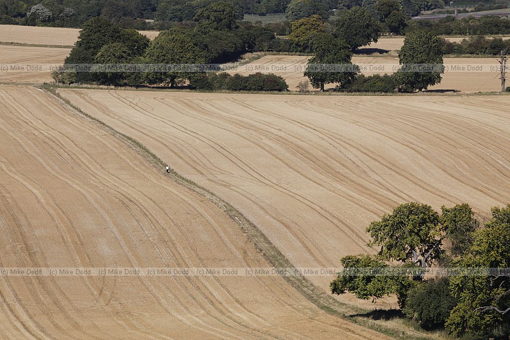 Chiltern landscape after harvest with golden stubble fields