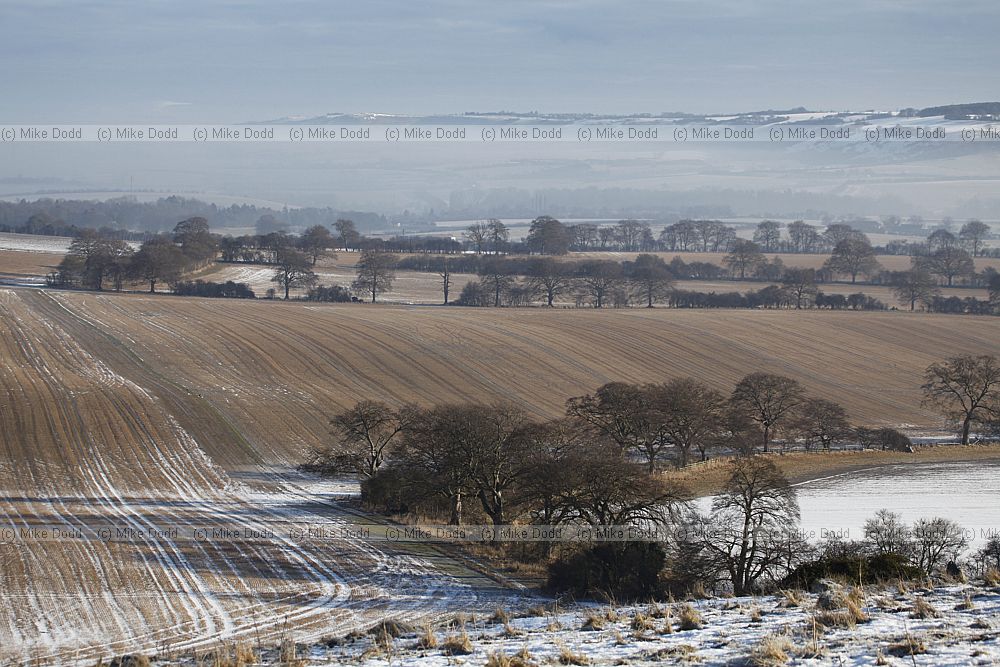 Chiltern landscape