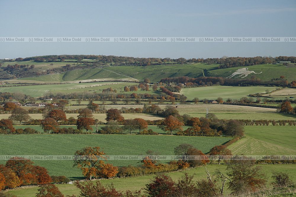 Chiltern landscape with autumn colour