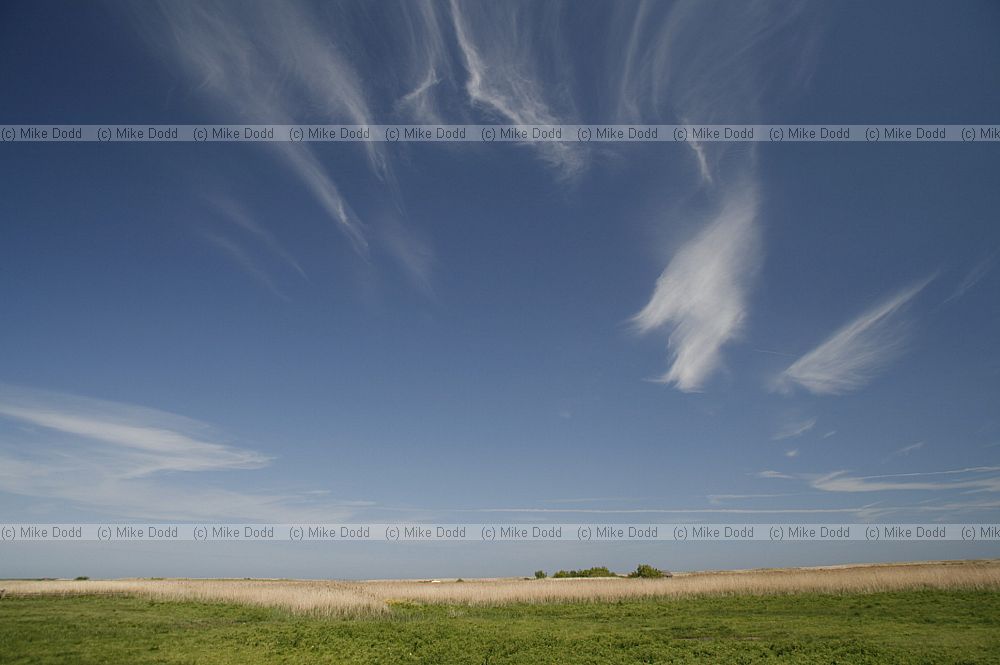 Cirrus clouds over Cley marshes