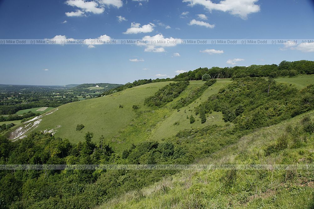 Colley hill chalk grassland with scrub invasion on the north downs 2009