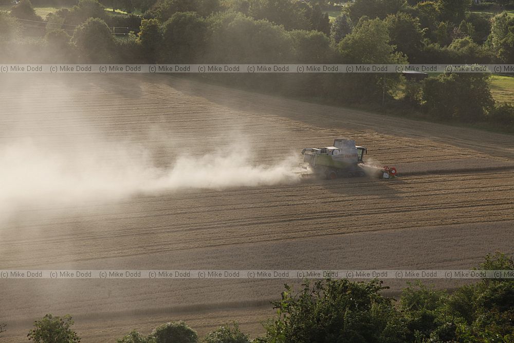 Combine harvester harvesting wheat with loads of dust pollution