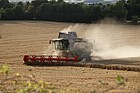 Combine harvester harvesting wheat with loads of dust pollution