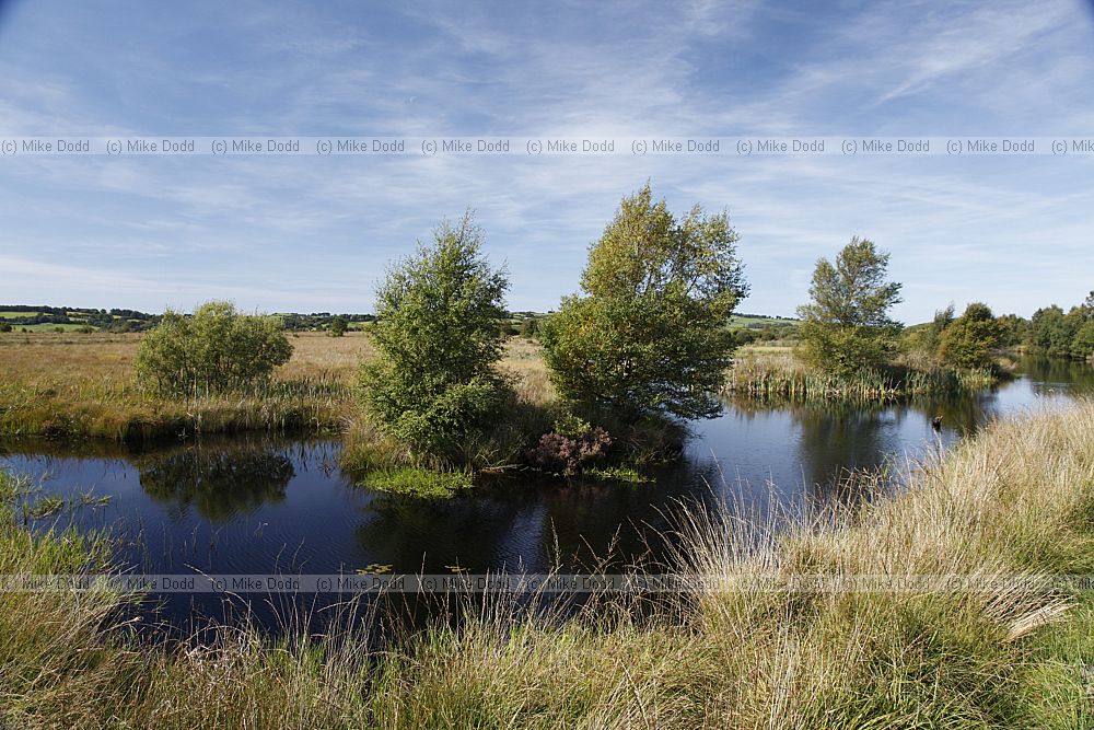 Cors Caron raised bog