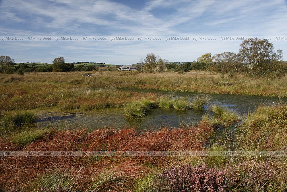 Cors Caron raised bog