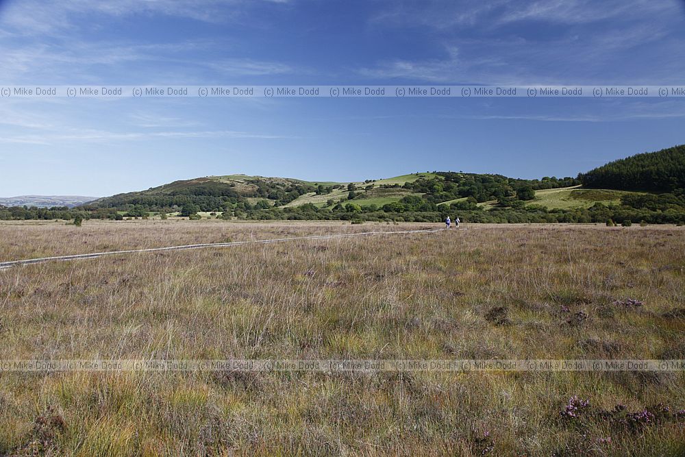 Cors Caron raised bog
