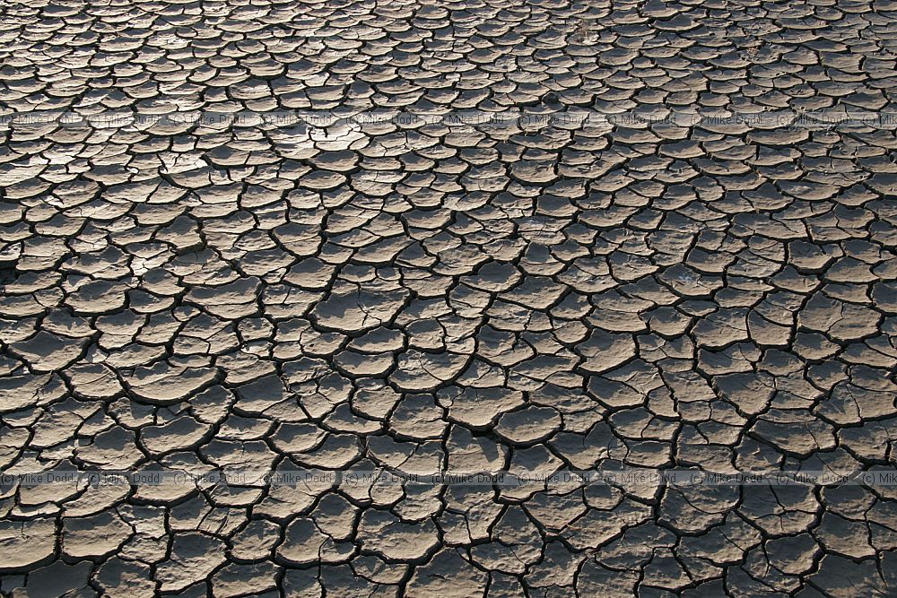 Light skimming across cracked mud