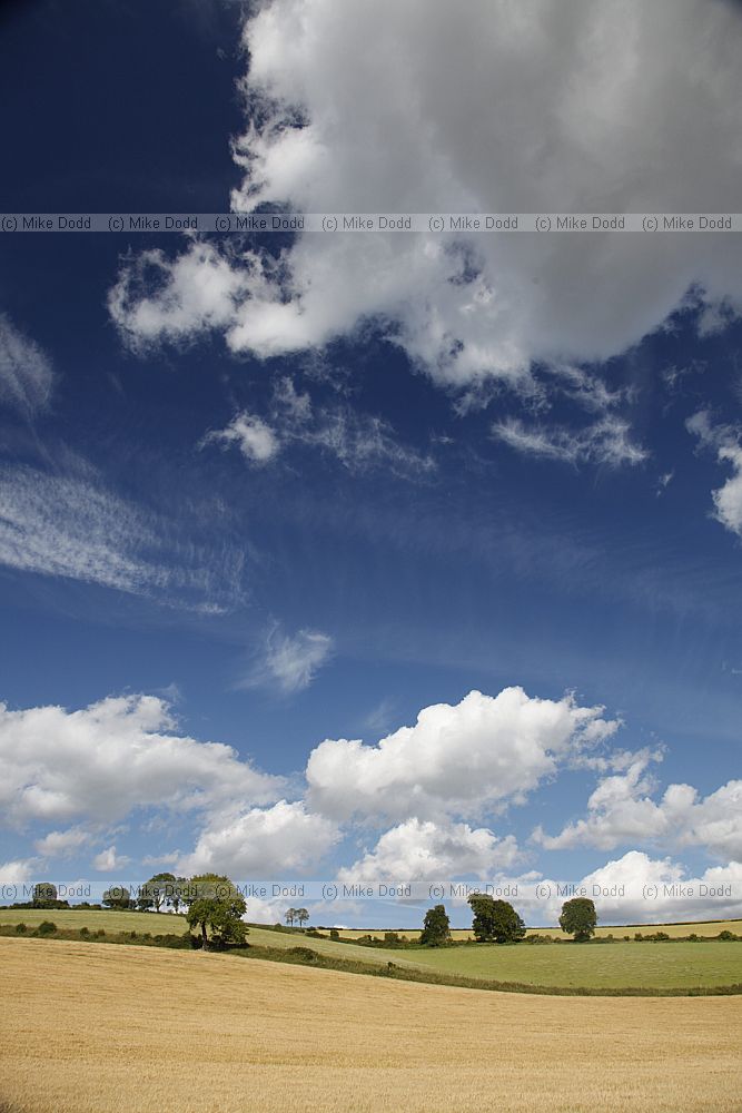 Landscape with fairweather cumulus clouds