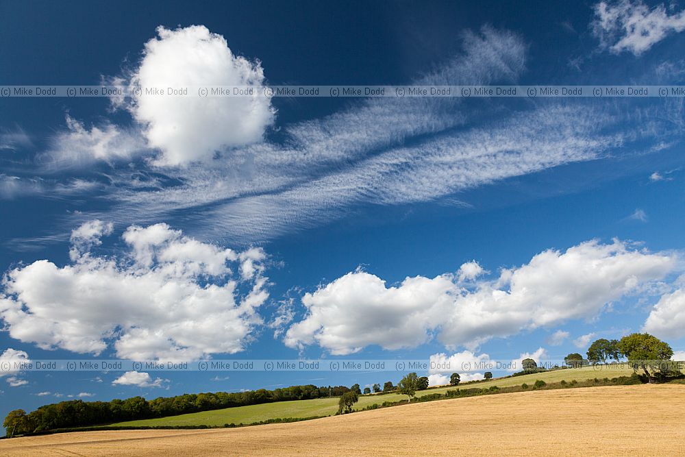 Landscape with fairweather cumulus clouds