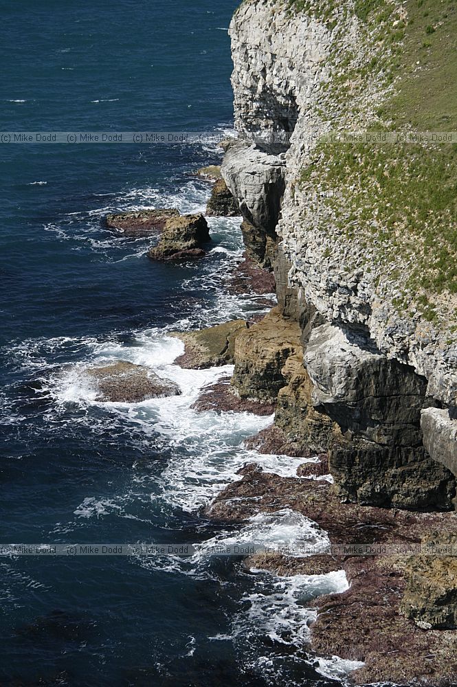Durlston head