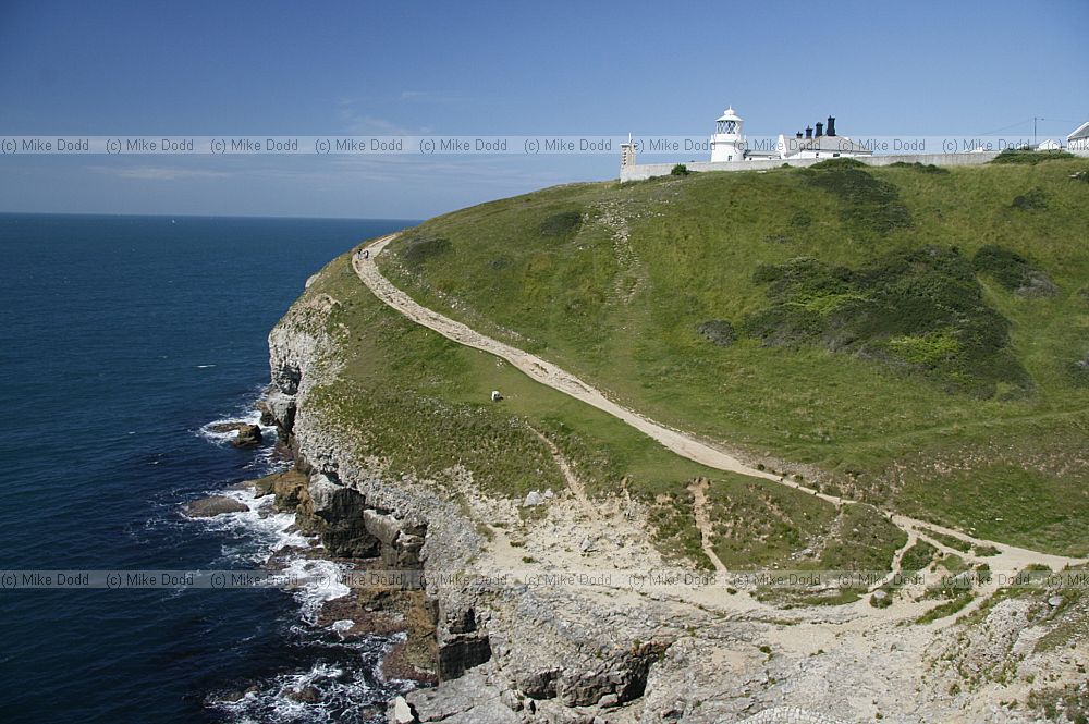 Durlston head lighthouse