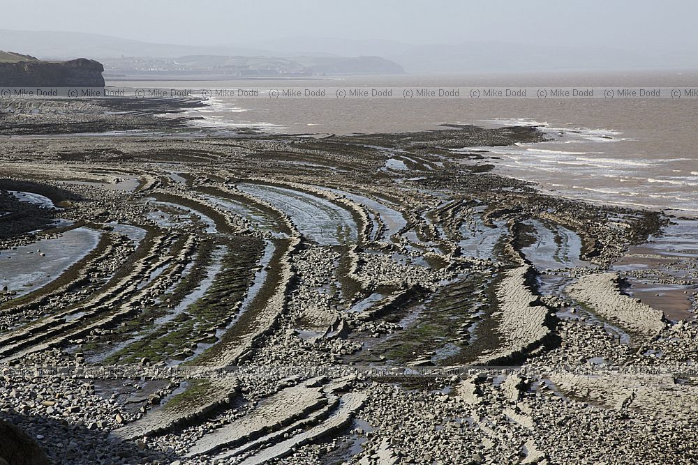 Wave cut platform hard limestone