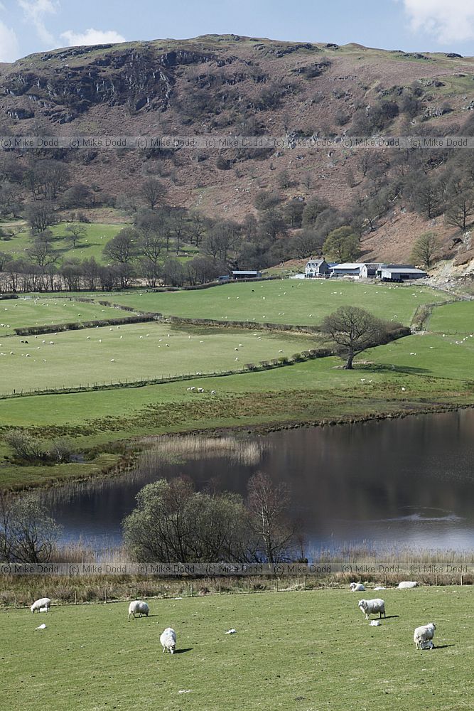 Elan Valley