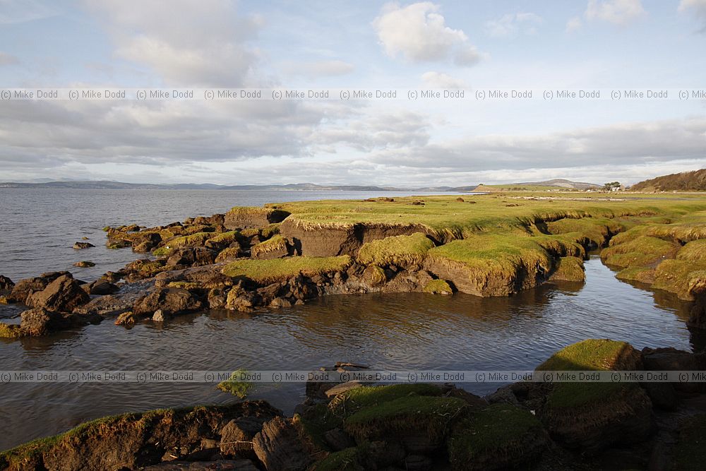 Eroding saltmarsh and mud