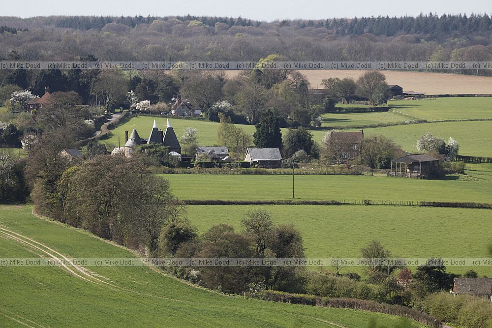 Farming landscape nr Chartham