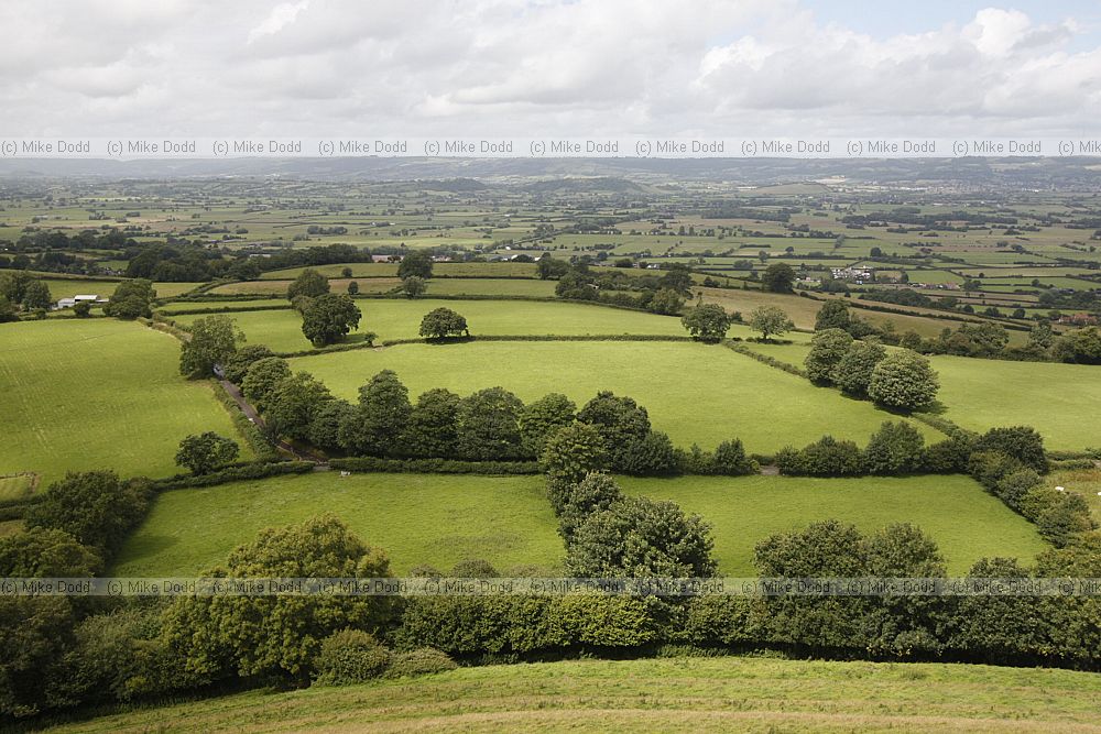 Farmland from Glastonbury tor