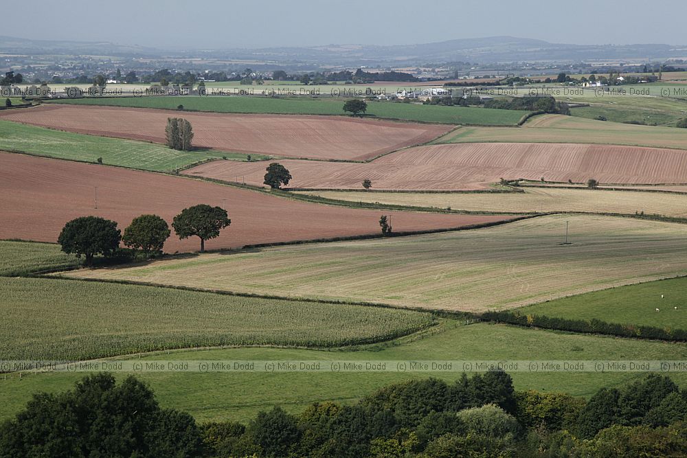 Rolling Herefordshire farmland with red soils