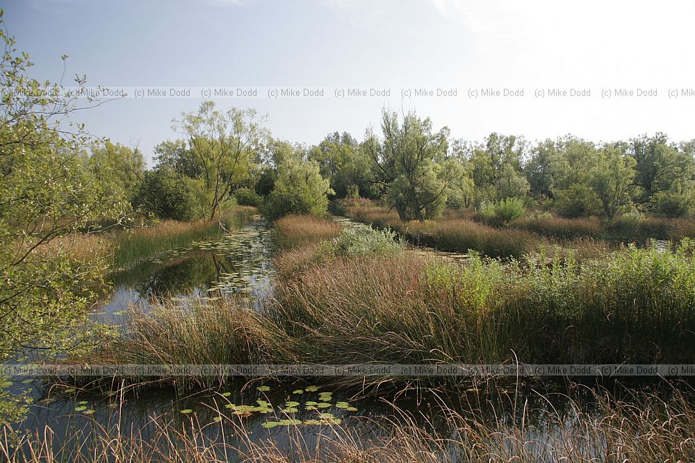 Felmersham gravel pits