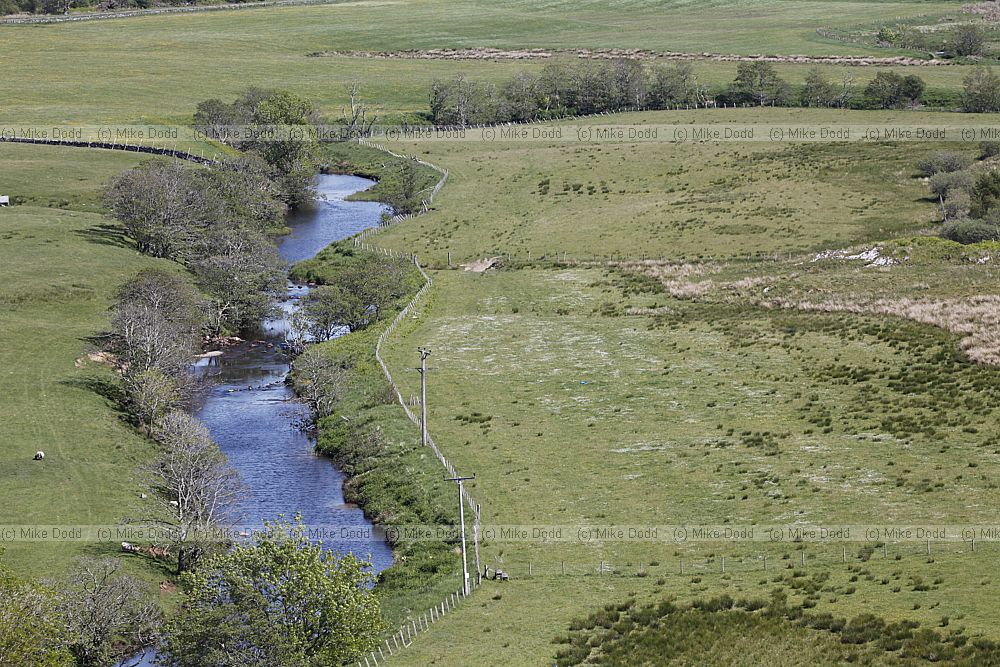 Floodplain and surrounding habitats