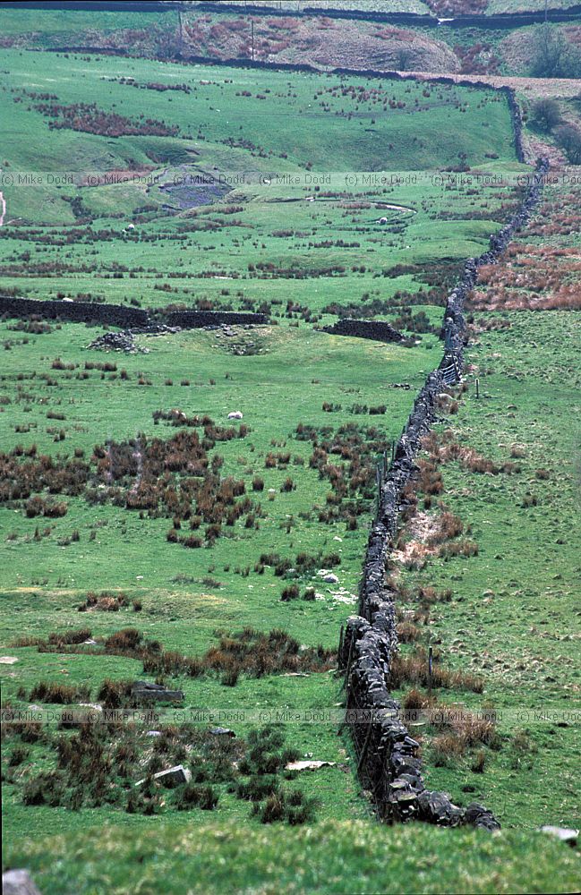 Moorland, Peak district