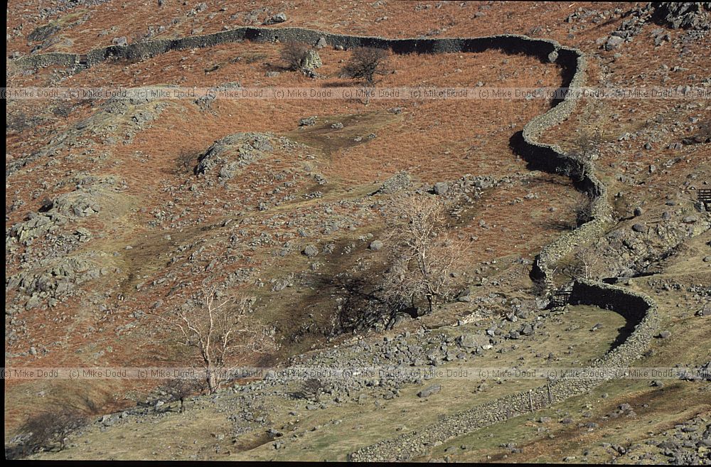 Dry stone wall, Thurlspot, Lake District