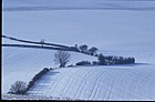 Hedge snow.  Buckinghamshire