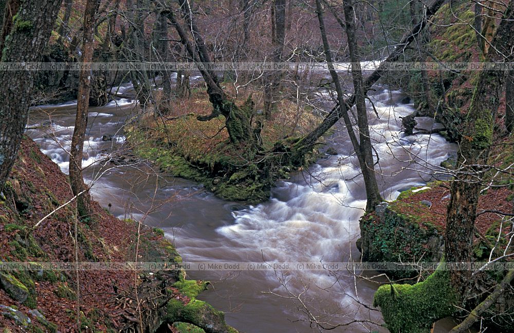 River Neath south Wales