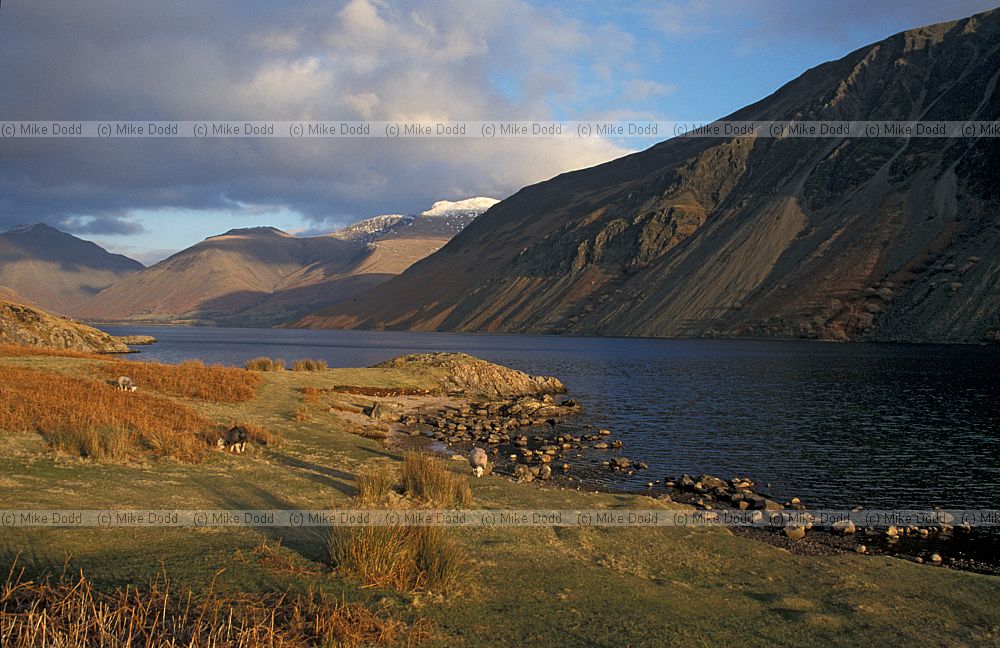 Wasdale evening