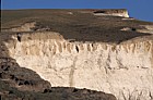 Cliff top chalk with very thin soil.  Beachy head, Sussex