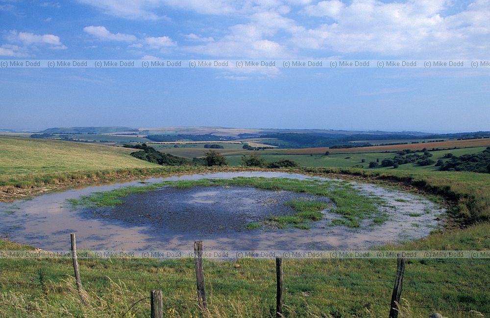 Dewpond, Sussex