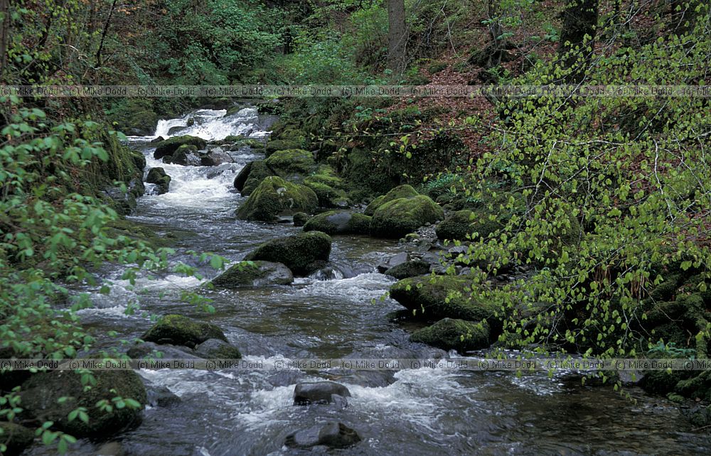 Stock ghyll Ambleside, Lake District