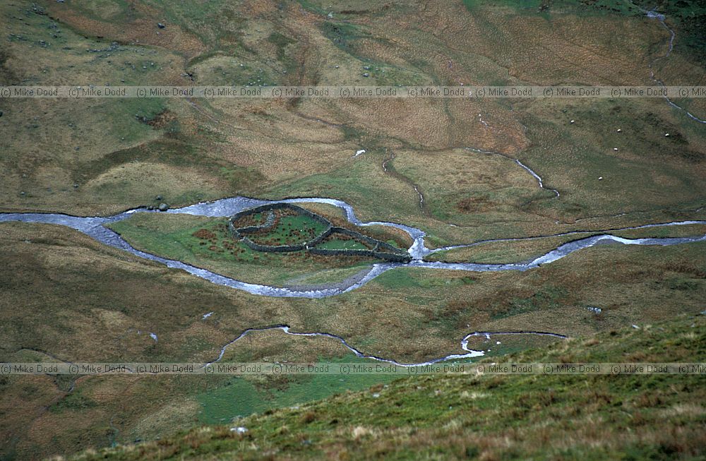 Sheep fold, Fairfield, Lake District