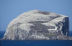 Bass rock with gannets Scotland